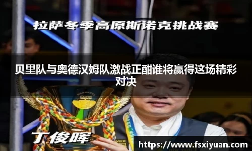 星空综合(中国)官方网站