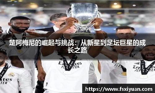 星空.综合体育官网
