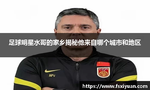 足球明星水哥的家乡揭秘他来自哪个城市和地区